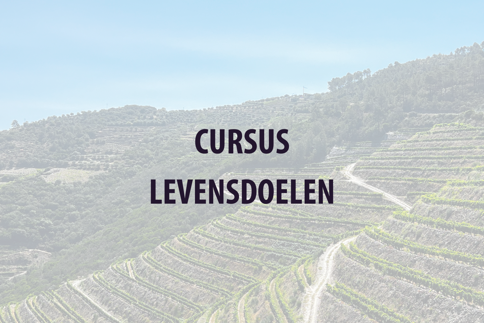 LEVENSDOELEN