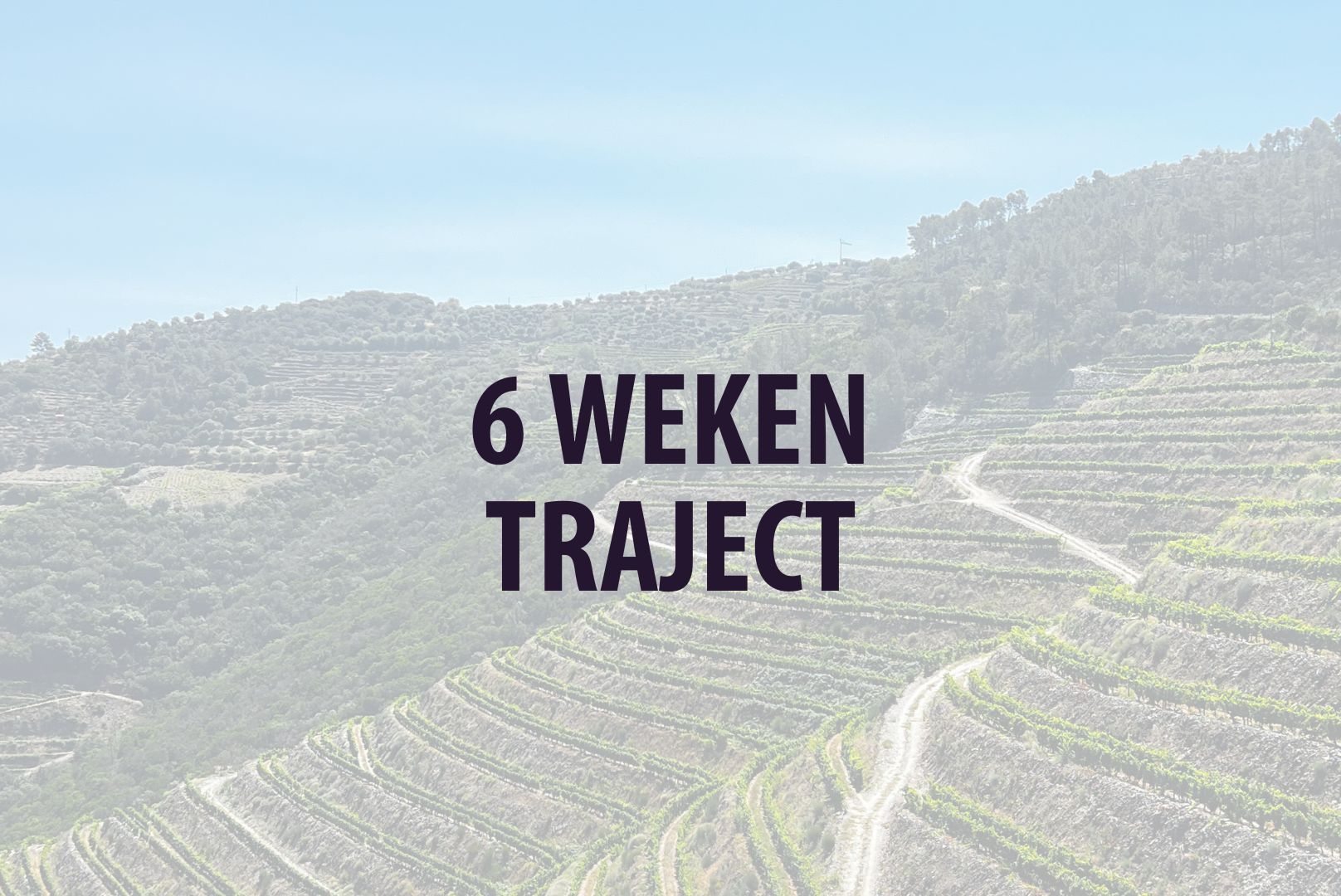 VITALITEITSTRAJECT – 6 WEKEN TRAJECT