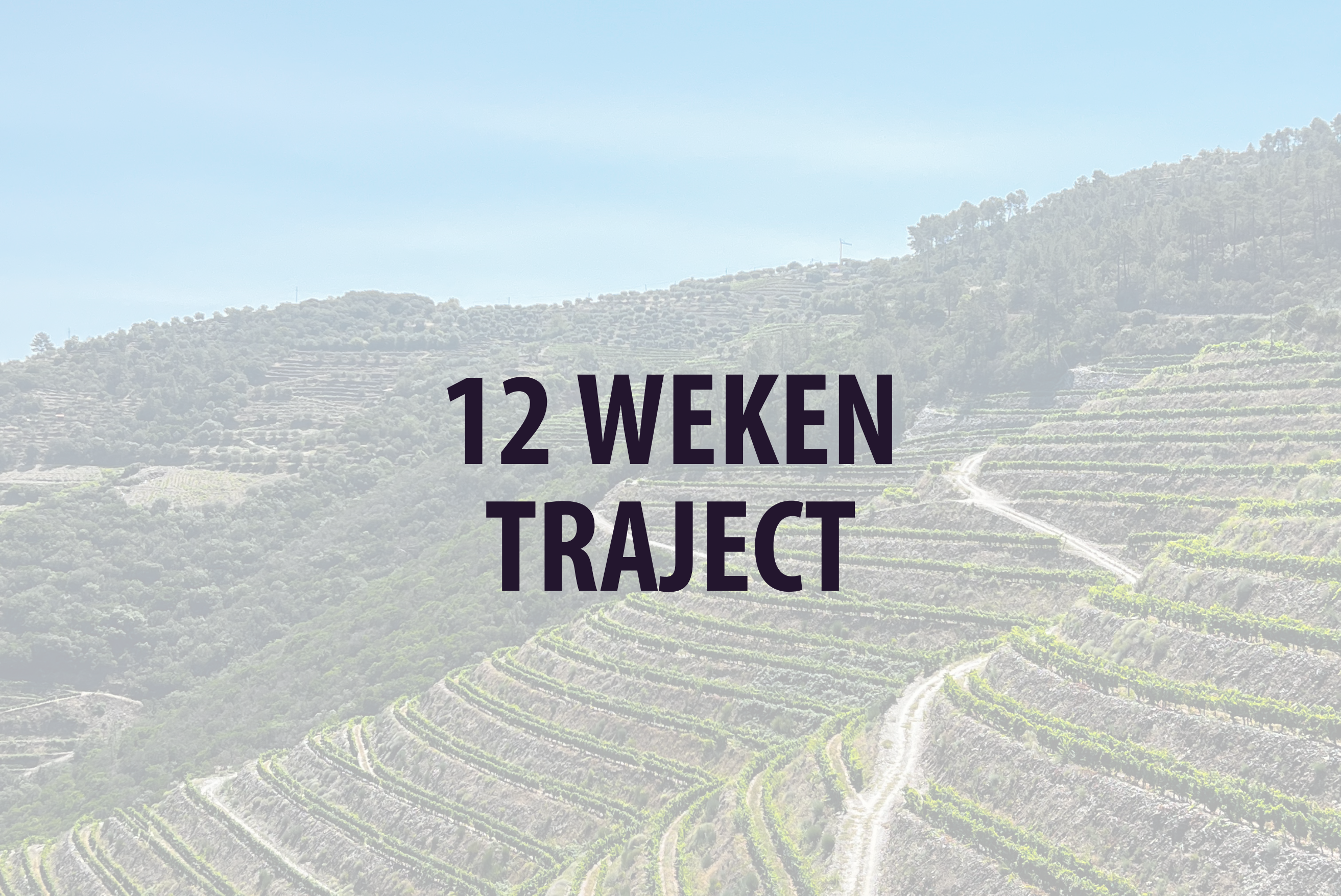 _Verschoor Vitaliteit – Afbeeldingen – PRIJZEN (2)